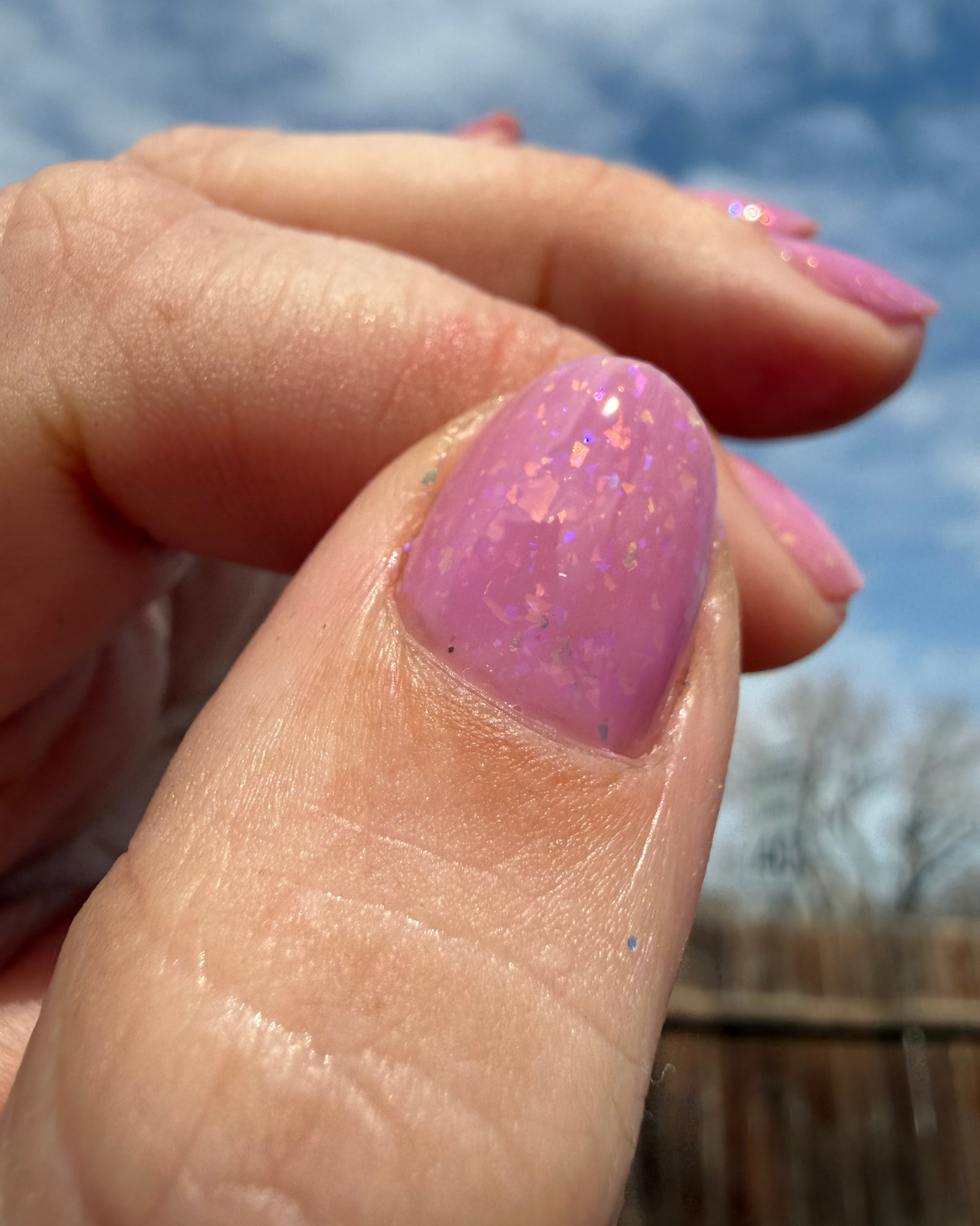 Curbside Confessions