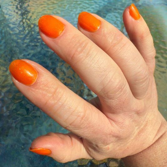 STEVE, LE POISSON STEVE