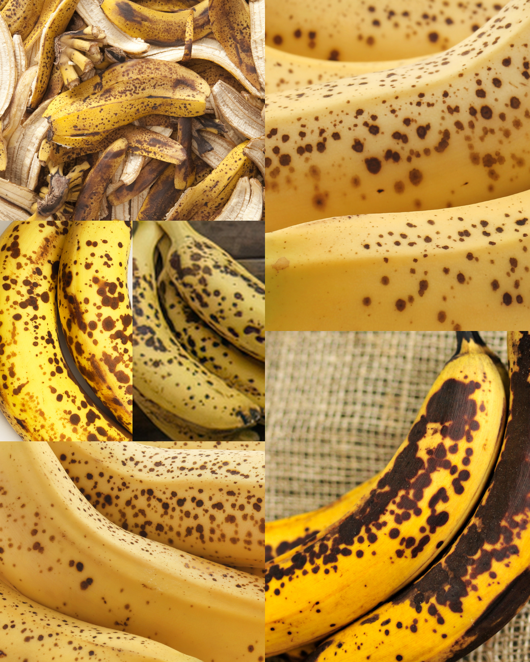 Ripe Decisions