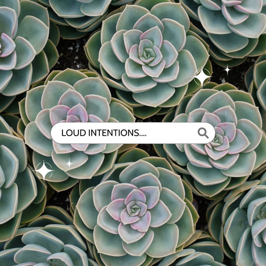 LOUD Intentions - LOUD