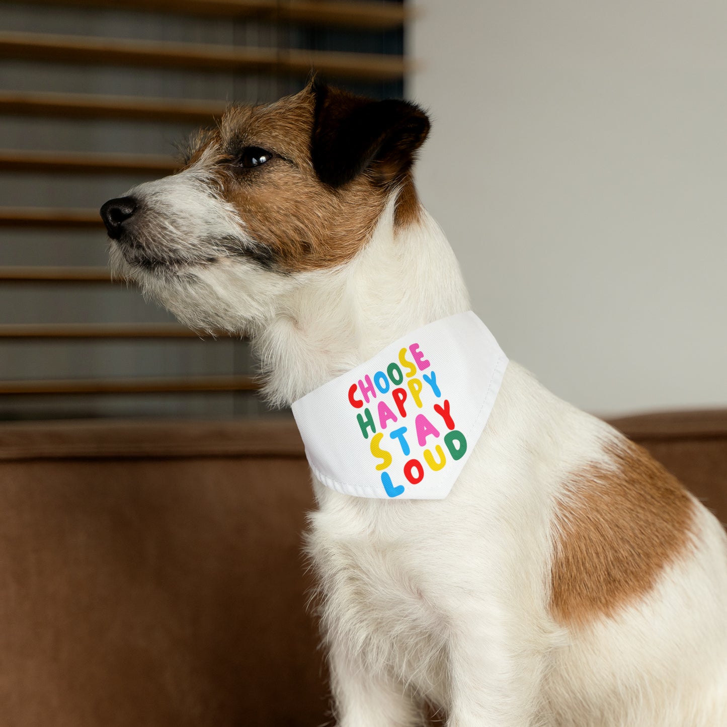 Loud Pet Bandana