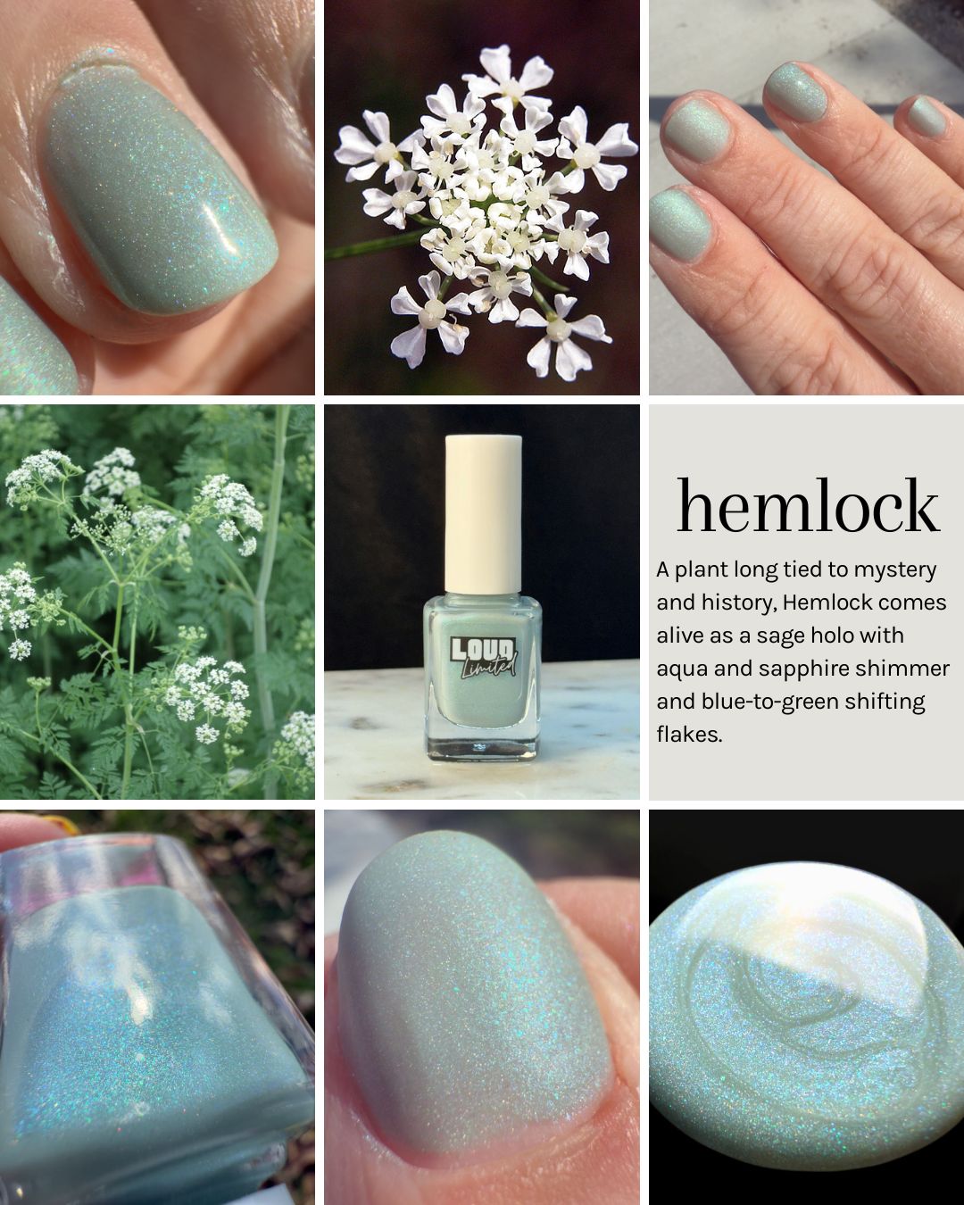 Blooming In The Dark