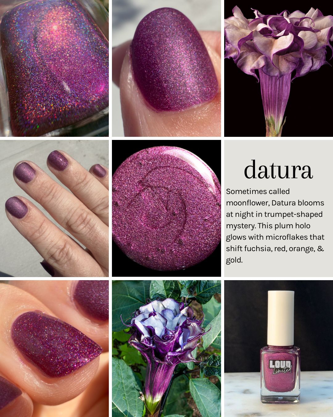 Blooming In The Dark