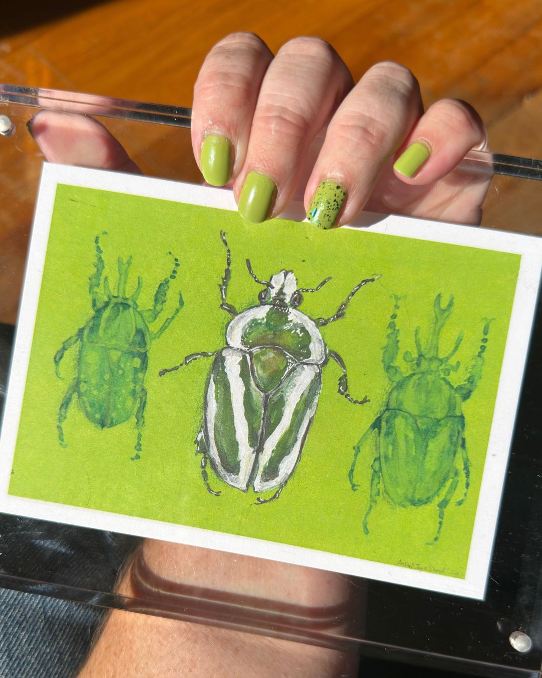 Carapace