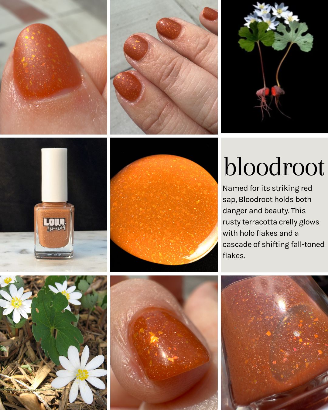 Blooming In The Dark