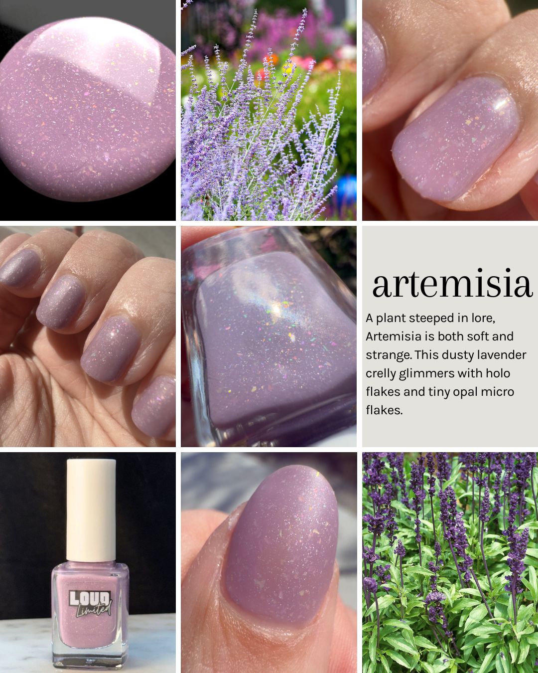 Blooming In The Dark