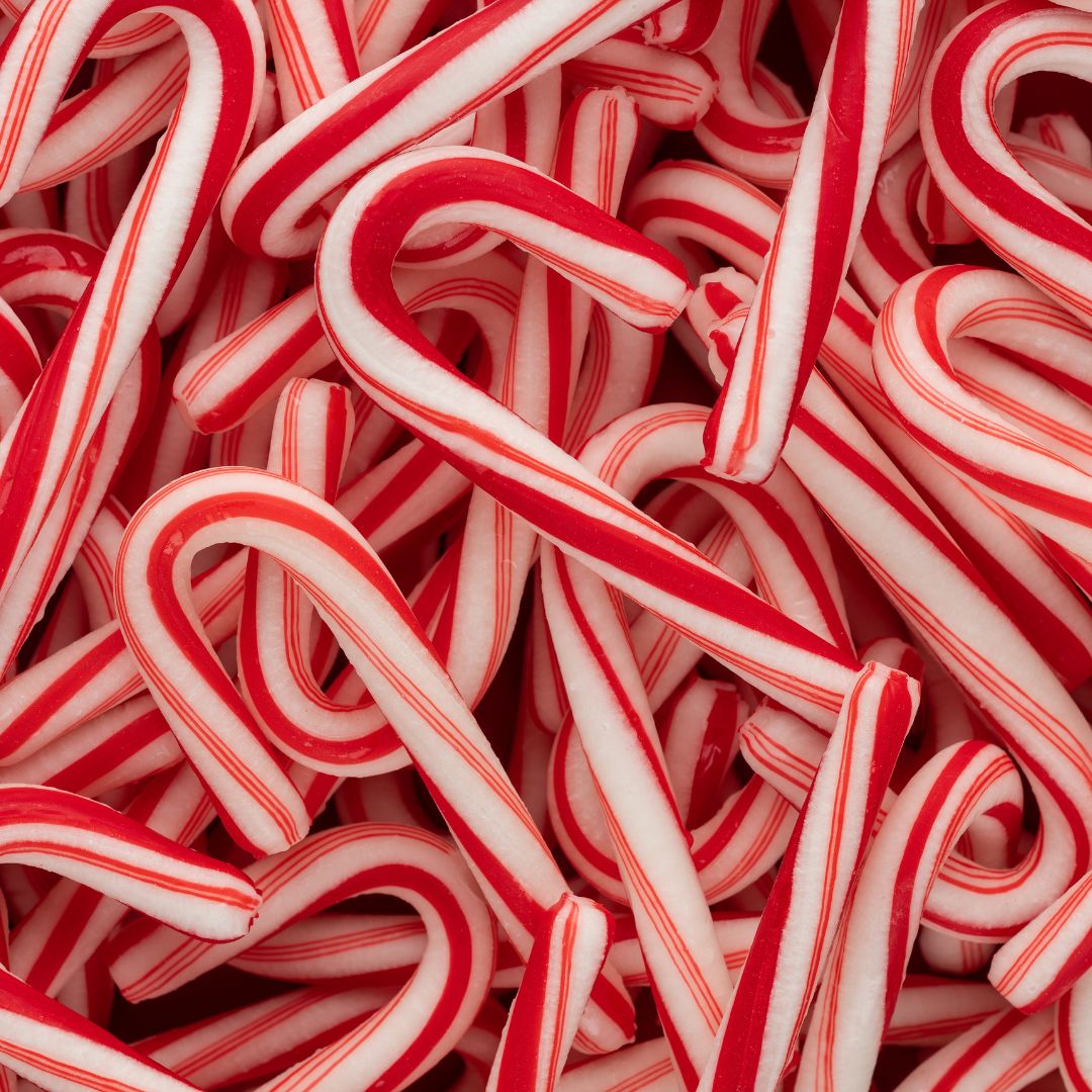 Candy Cane Lane